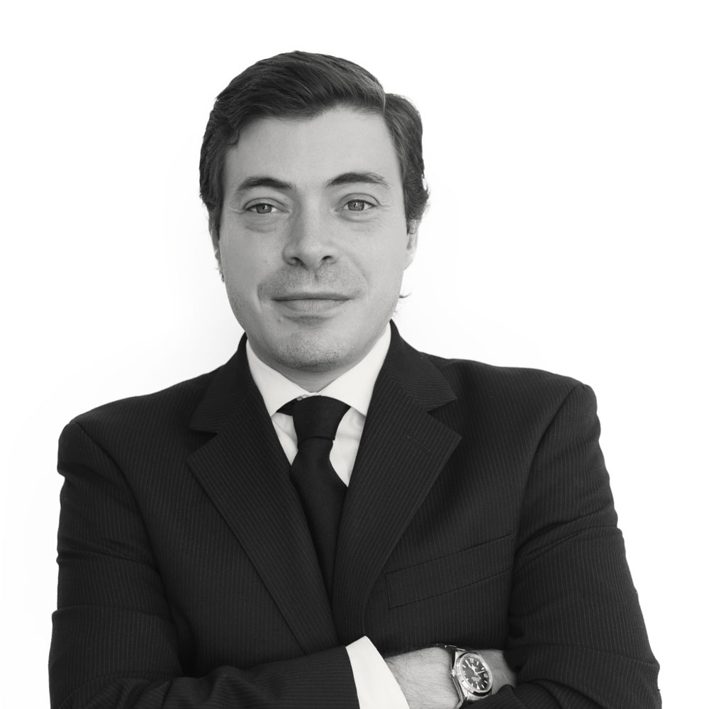 Rocco Lamura